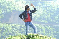 Nikhil Stills in Disco
